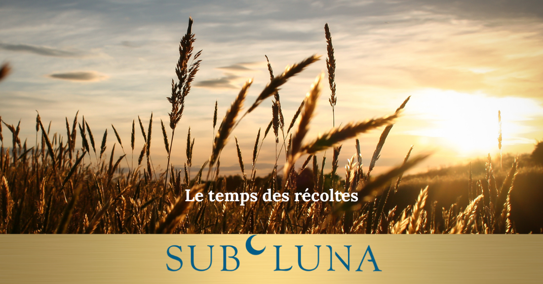 La fin de l'été, le temps des récoltes...