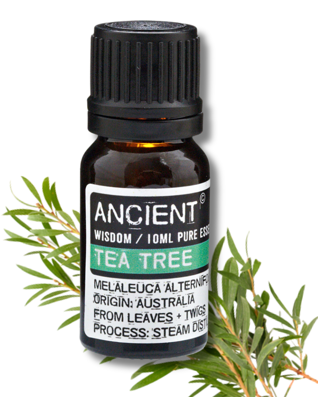Huile essentielle Arbre à Thé (Tea Tree)- 10 ml