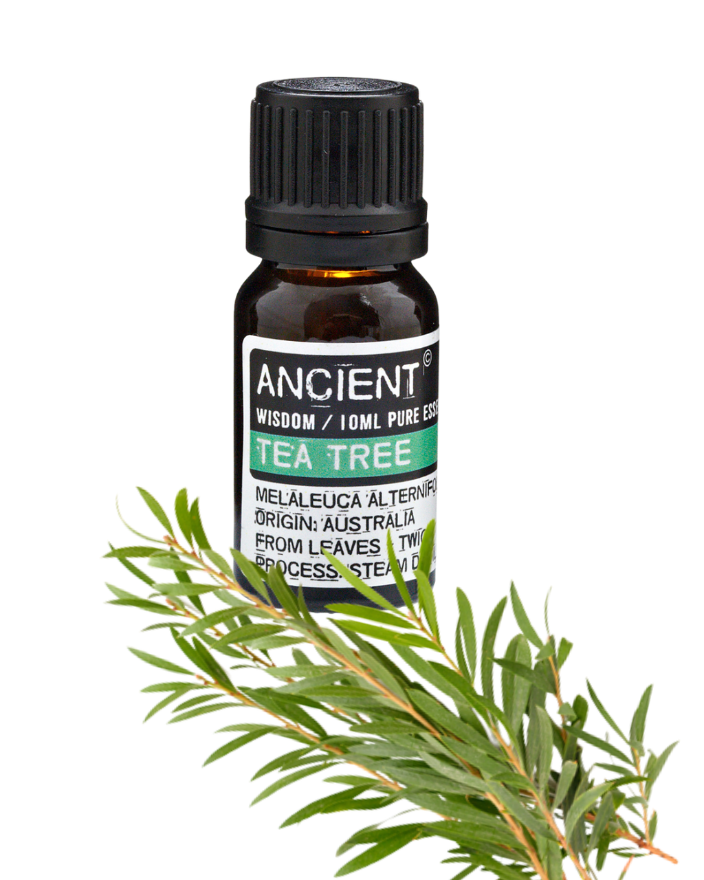 Huile essentielle Arbre à Thé (Tea Tree)- 10 ml