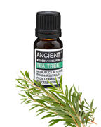 Huile essentielle Arbre à Thé (Tea Tree)- 10 ml