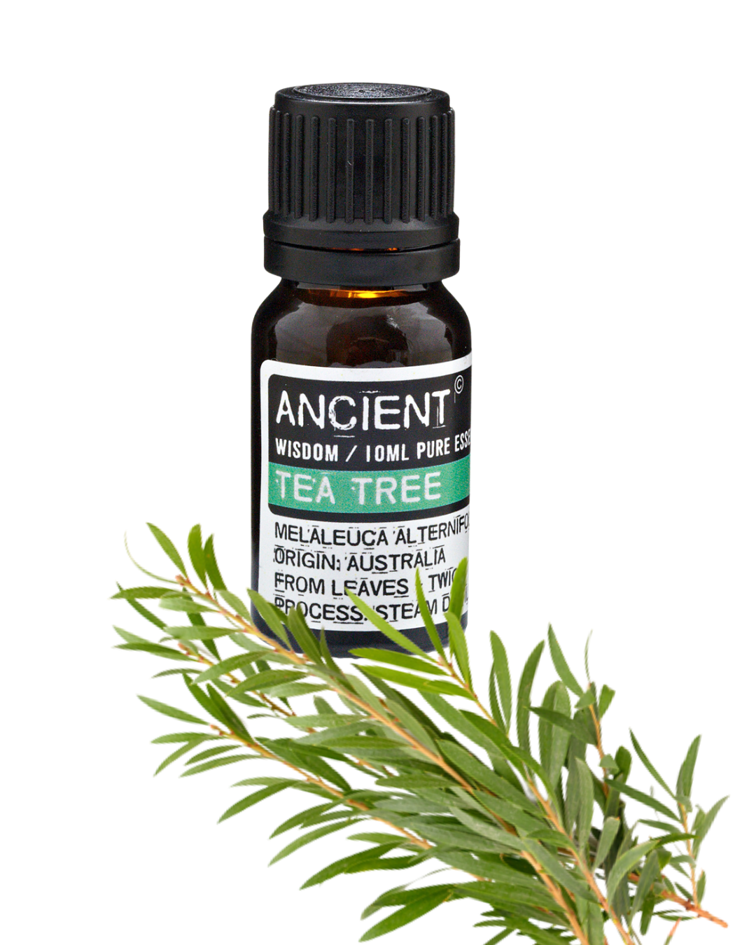 Huile essentielle Arbre à Thé (Tea Tree)- 10 ml