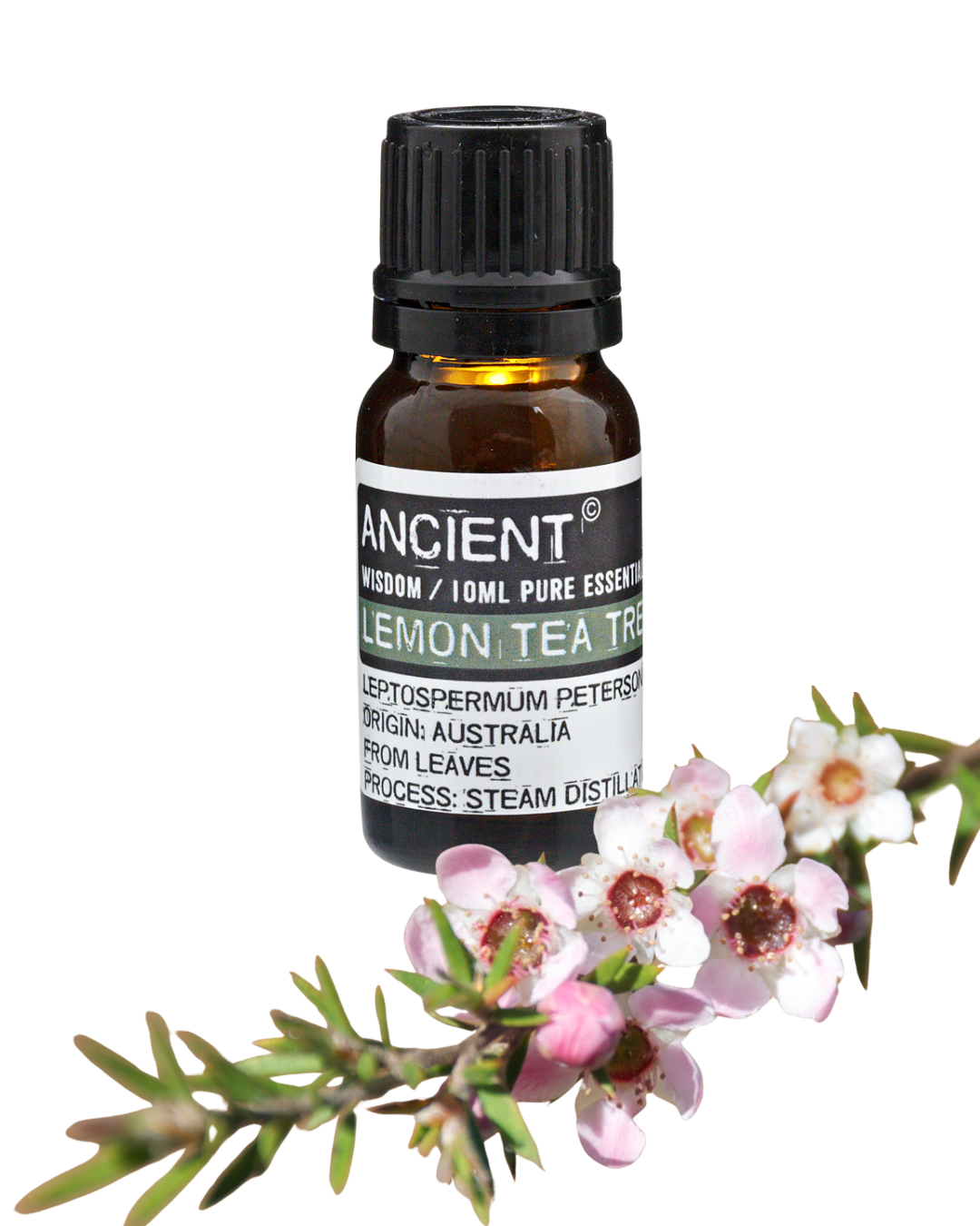 Huile essentielle Arbre à Thé Citronné - 10 ml