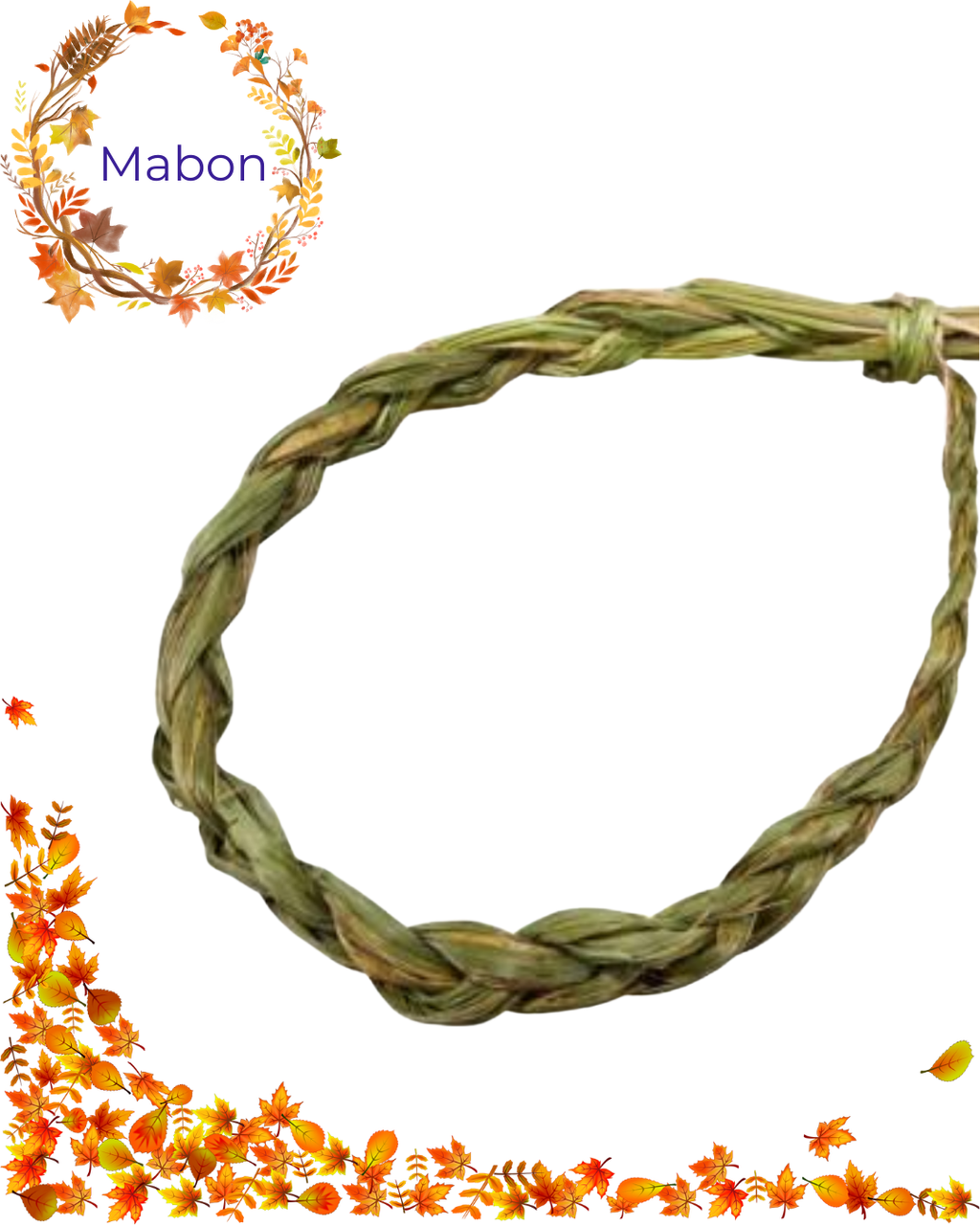 Foin d'odeur - tresse 60 cm