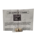 Cauris de la chance - Divination Africaine