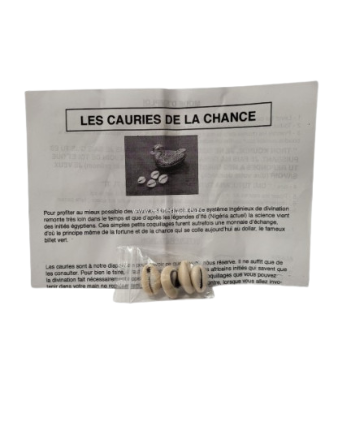 Cauris de la chance - Divination Africaine