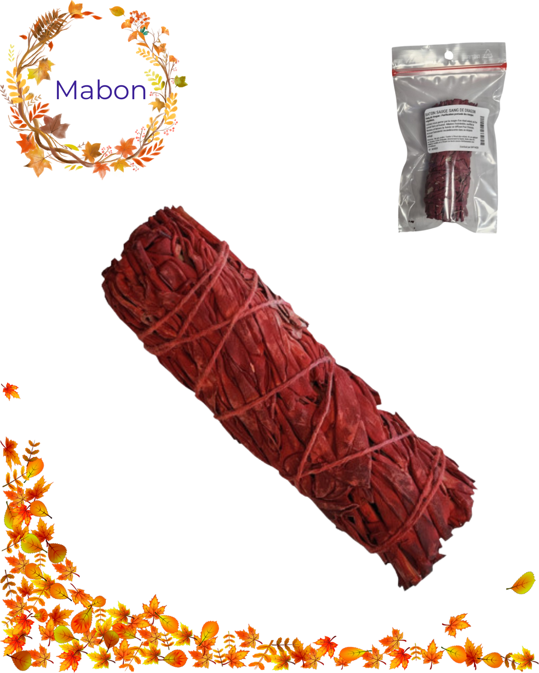 Bâton Sauge Sang de Dragon