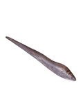 Baguette en bois - Serpent