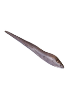 Baguette en bois - Serpent